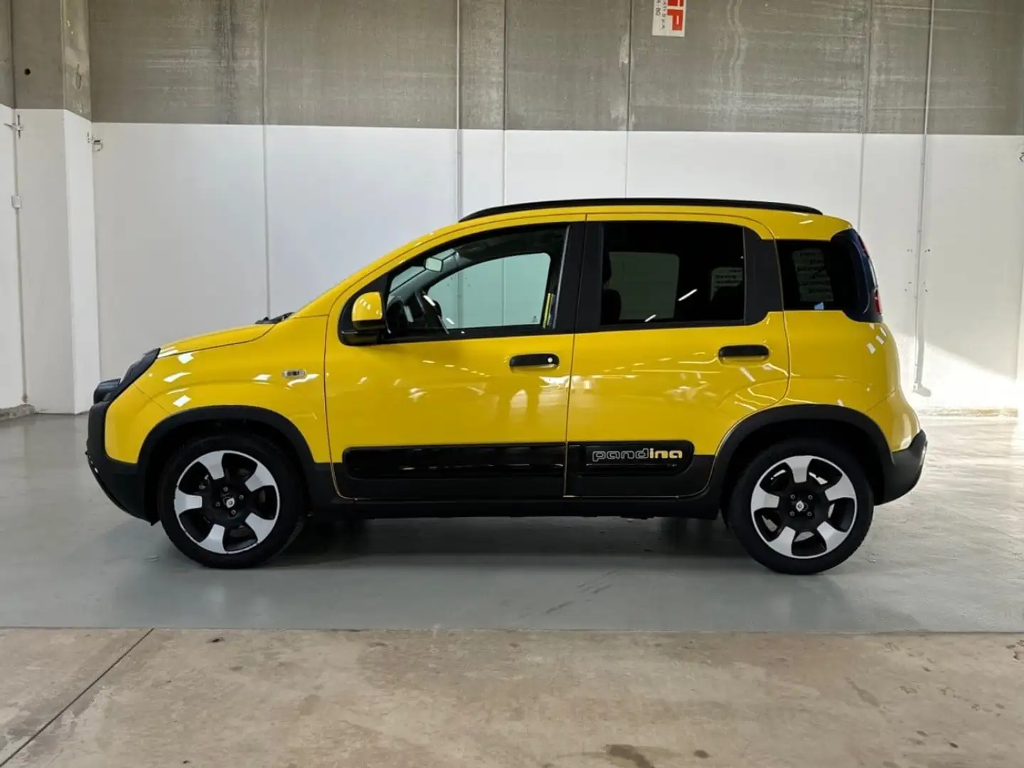 Fiat Panda 1.0 FireFly 70cv S&S Hybrid Pandina Giallo - 2