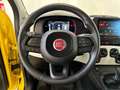 Fiat Panda 1.0 FireFly 70cv S&S Hybrid Pandina Giallo - thumbnail 12