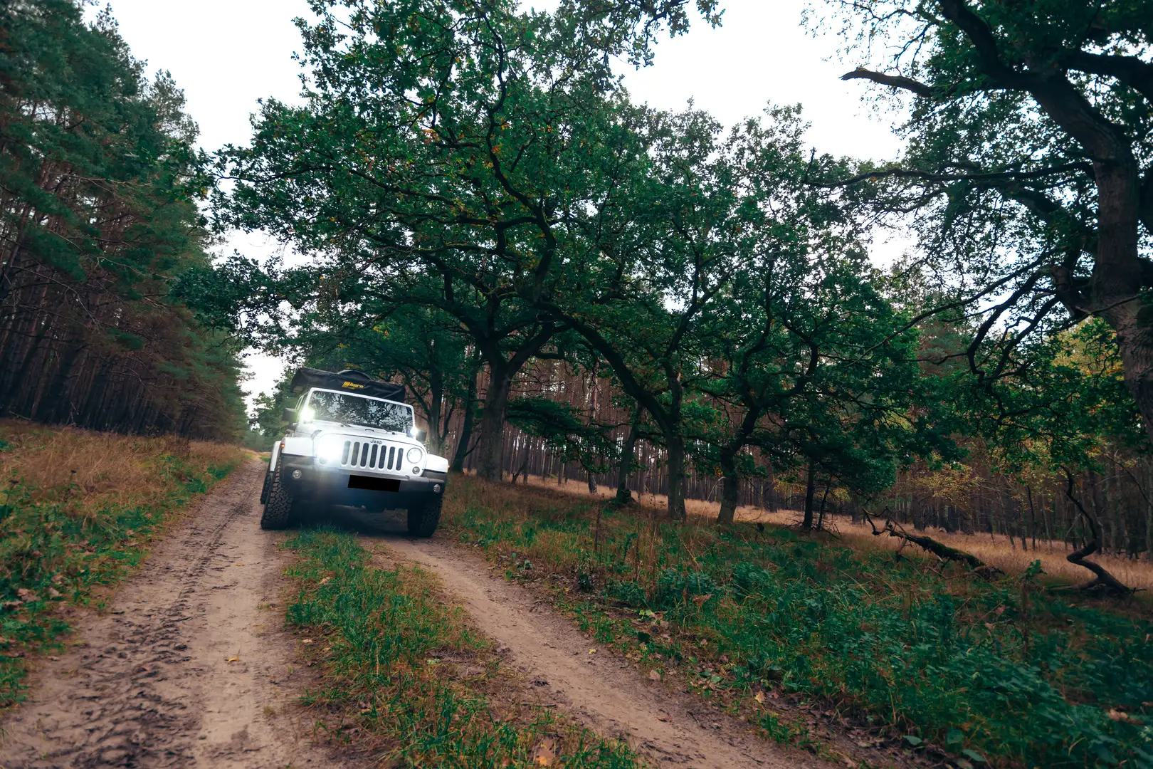Jeep Wrangler JK Unlimited Sahara Biały - 2