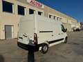 Renault Master 2.0 dci 3 Posti. Euro 6B Bianco - thumbnail 6