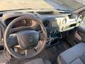 Renault Master 2.0 dci 3 Posti. Euro 6B Bianco - thumbnail 14