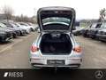 Mercedes-Benz CLA 250 e SB  AMG+Fahrass.P+Kamera+PTS+AHK+Pano Silber - thumbnail 15