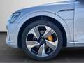 Audi e-tron 50 quattro 21Zoll Sportsitz AHK KAM MMI Gri - thumbnail 8