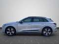 Audi e-tron 50 quattro 21Zoll Sportsitz AHK KAM MMI Gri - thumbnail 7