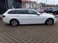 BMW 520 5 Touring 520 d , Motorschaden Білий - thumbnail 6