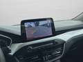 Ford Focus 1.0 EcoBoost 125 CV 5p Business Rosso - thumbnail 12