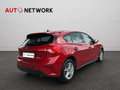 Ford Focus 1.0 EcoBoost 125 CV 5p Business Rosso - thumbnail 2