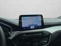 Ford Focus 1.0 EcoBoost 125 CV 5p Business Rosso - thumbnail 13