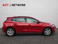 Ford Focus 1.0 EcoBoost 125 CV 5p Business Rosso - thumbnail 8