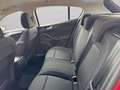 Ford Focus 1.0 EcoBoost 125 CV 5p Business Rosso - thumbnail 10