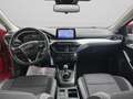 Ford Focus 1.0 EcoBoost 125 CV 5p Business Rosso - thumbnail 11