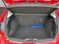 Ford Focus 1.0 EcoBoost 125 CV 5p Business Rosso - thumbnail 14