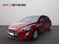 Ford Focus 1.0 EcoBoost 125 CV 5p Business Rosso - thumbnail 3