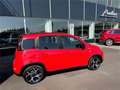 Fiat Panda Hybrid 70 Sport Rot - thumbnail 3