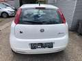 Fiat Grande Punto Grande Punto 1,2 MYLIFE #ÖAMTC-PICKERL NEU # Weiß - thumbnail 3