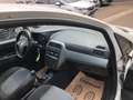 Fiat Grande Punto Grande Punto 1,2 MYLIFE #ÖAMTC-PICKERL NEU # Weiß - thumbnail 11
