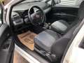 Fiat Grande Punto Grande Punto 1,2 MYLIFE #ÖAMTC-PICKERL NEU # Weiß - thumbnail 7