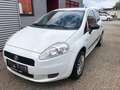 Fiat Grande Punto Grande Punto 1,2 MYLIFE #ÖAMTC-PICKERL NEU # Weiß - thumbnail 5