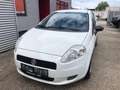 Fiat Grande Punto Grande Punto 1,2 MYLIFE #ÖAMTC-PICKERL NEU # Weiß - thumbnail 6