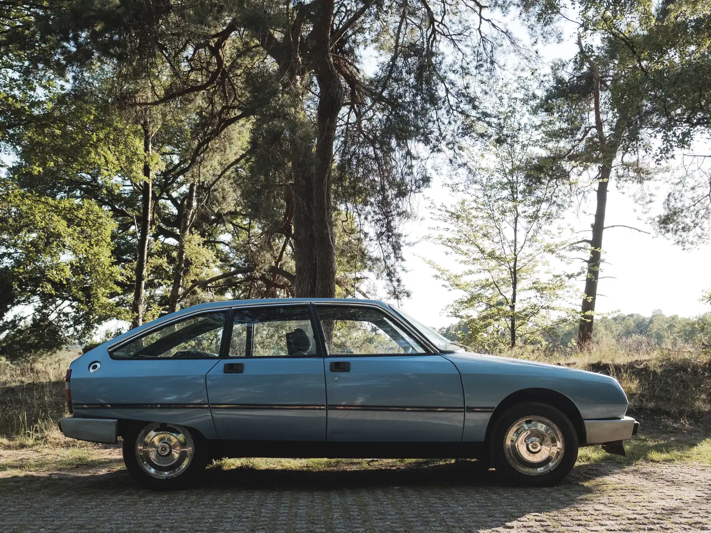 Citroen GSA GSA Pallas Blauw - 2