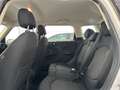 MINI One Countryman Mini Countryman R60 1.6 E6 NEOPATENTATI Bianco - thumbnail 11