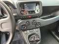 Fiat Panda 1.0 FireFly S&S Hybrid Schwarz - thumbnail 14