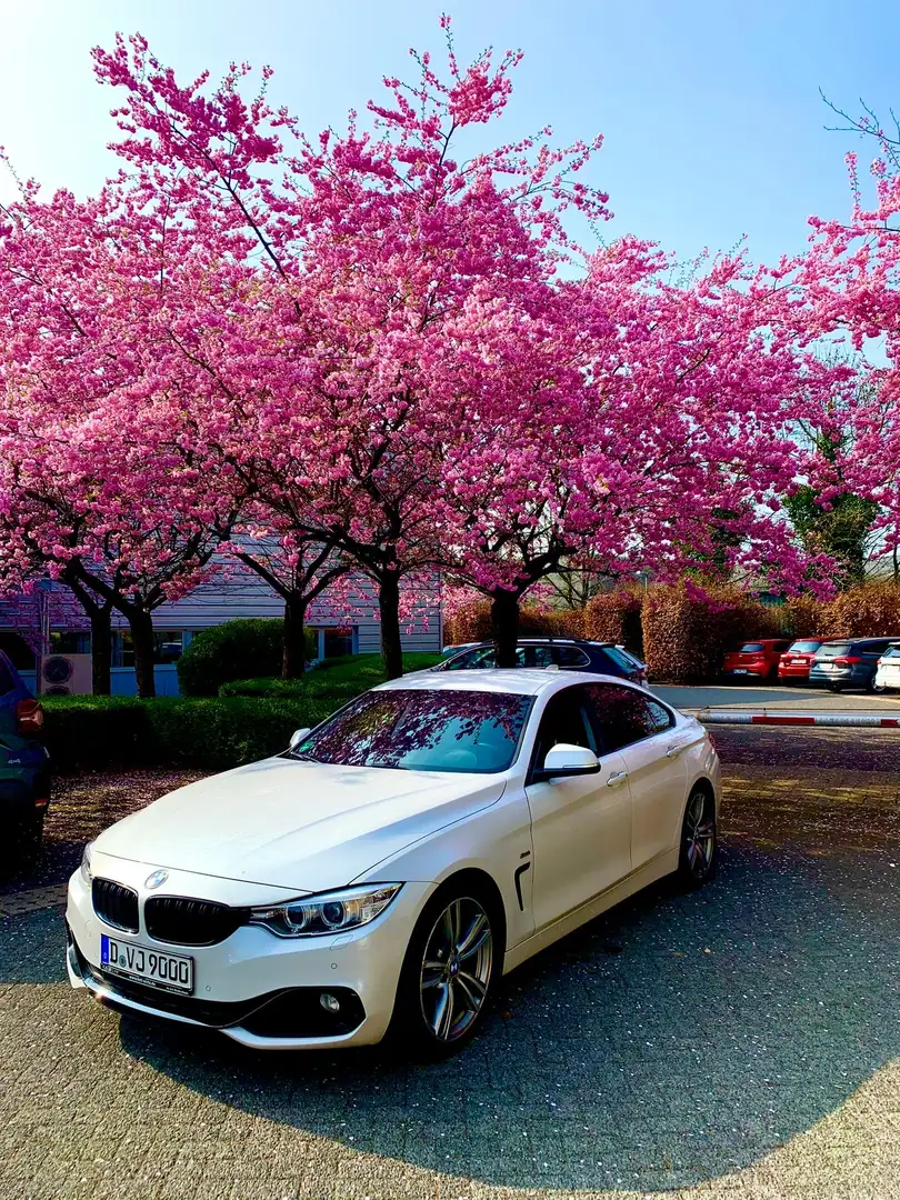 BMW 420 420d Gran Coupe Sport-Aut. Sport Line - 1