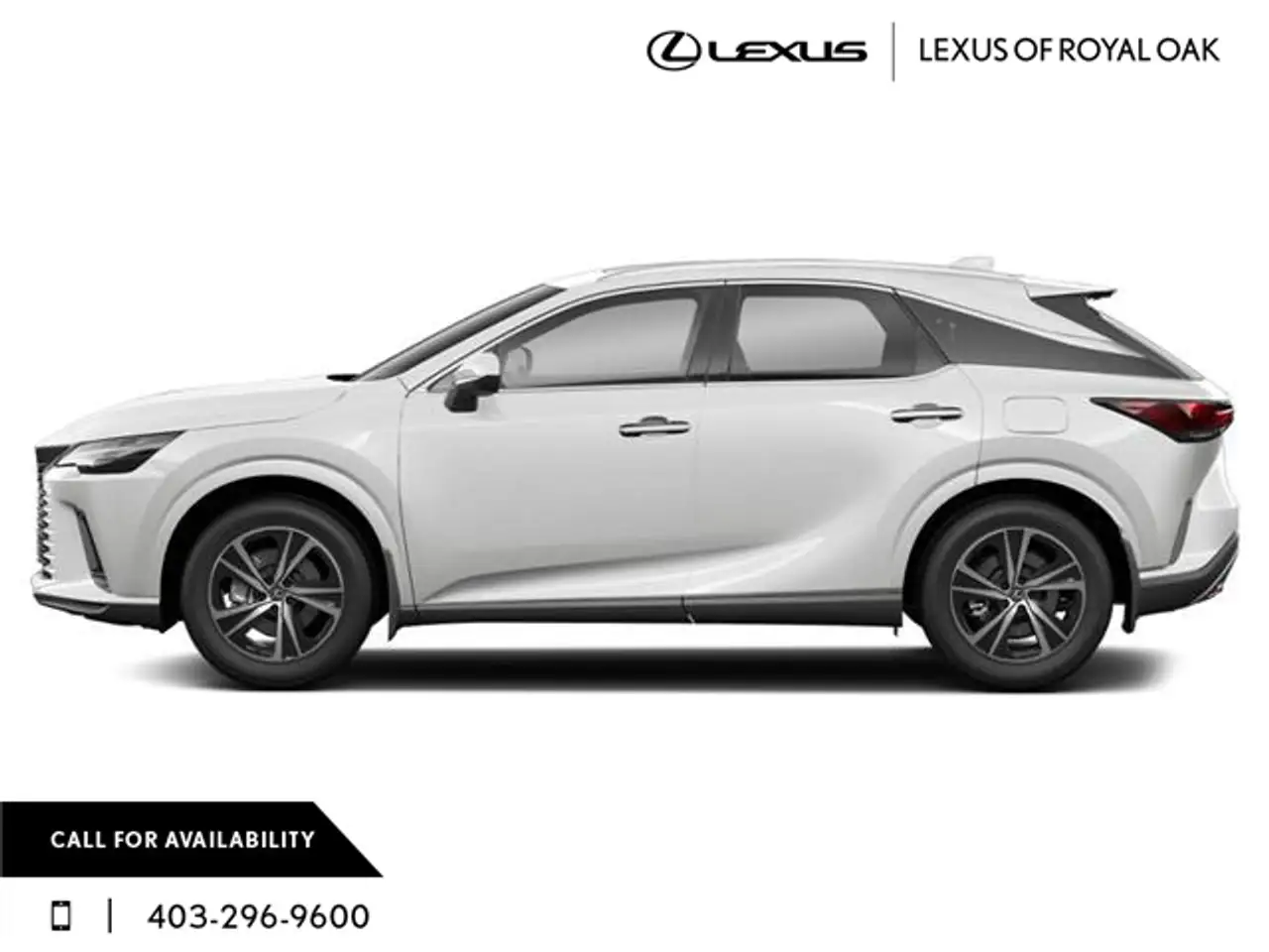 Lexus RX photo Lexus RX