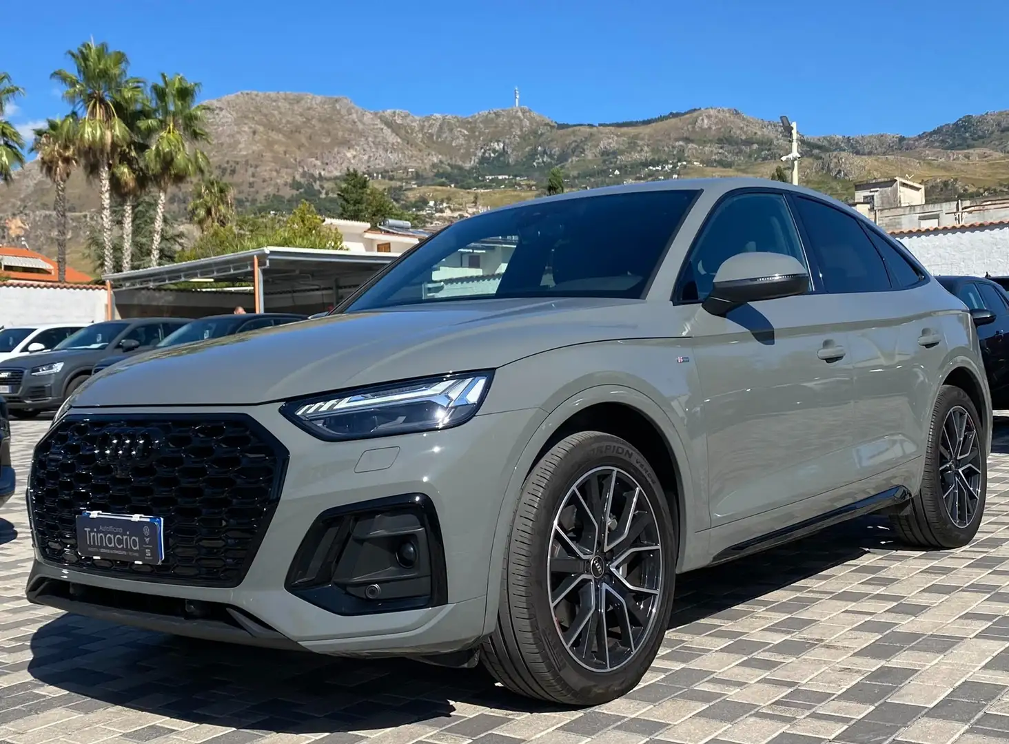 Audi Q5 SPB S Line Plus 2.0 TDI 204CV s-tronic quattro 40 Grigio - 1