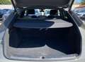 Audi Q5 SPB S Line Plus 2.0 TDI 204CV s-tronic quattro 40 Grigio - thumbnail 14