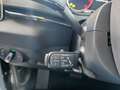 Skoda Karoq 4x4 Selection TDI DSG (AHV, LED, ACC,) Schwarz - thumbnail 15