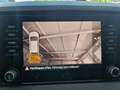 Skoda Karoq 4x4 Selection TDI DSG (AHV, LED, ACC,) Schwarz - thumbnail 19