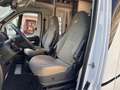 Fiat Ducato Dethleffs Globebus 120 Garage Kamera 9G Automatik Weiß - thumbnail 21