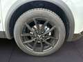 Mitsubishi Grandis Grandis 1,3  Petrol Invite Weiß - thumbnail 17