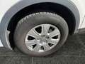 Audi Q3 1.4-1. Hand-Automatik-PDC-Navi Weiß - thumbnail 14