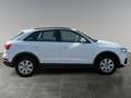 Audi Q3 1.4-1. Hand-Automatik-PDC-Navi Weiß - thumbnail 7