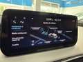 Hyundai SANTA FE 2.2CRDi Style 7pl 4WD 8DCT Grijs - thumbnail 28