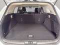 Ford Focus Active SW 1.5 ecoblue X 120cv auto Blanc - thumbnail 10
