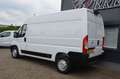 Opel Movano 2.2D 140 Maxi  L2H2 Edition 3000kg trekgewicht**BP Blanc - thumbnail 3