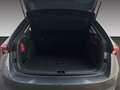 Skoda Scala Drive 1.0 TSI DSG KESSY AHK SMARTLINK Grau - thumbnail 14