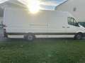 Mercedes-Benz Sprinter CHASSIS DBLE CAB 316 CDI 37P 4x2 3.5t BLUEEFFICIEN - thumbnail 5