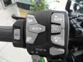 Kawasaki Ninja 1000SX Tourer Grün - thumbnail 9