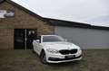 BMW 520 520D HIGH EXECUTIVE, Xenon, Leder, Panorama, HUD Wit - thumbnail 2