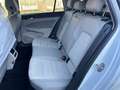 Volkswagen Golf Style ''ACC''Tot-Winkel''MASSAGE'' Weiß - thumbnail 10