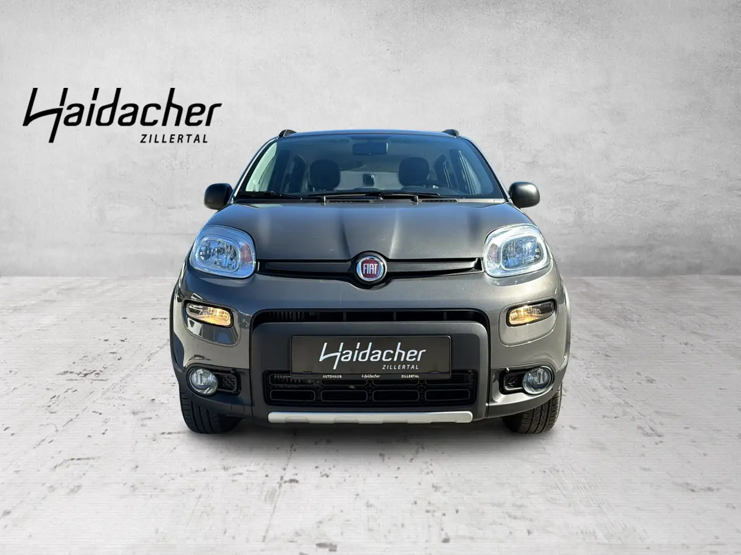 Fiat Panda 4x4 Wild 40 Anniversario 85 TwinAir Grau - 2