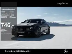 Mercedes-Benz AMG GT 4M+ BURM WIDE MEMO MULTI 360 AHK DISTR