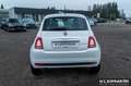 Fiat 500 1.0 Hybrid Weiß - thumbnail 6