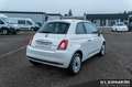 Fiat 500 1.0 Hybrid Weiß - thumbnail 5