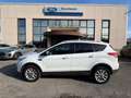 Ford Kuga Kuga II 2013 2.0 tdci Titanium 4wd s Bianco - thumbnail 9