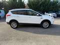 Ford Kuga Kuga II 2013 2.0 tdci Titanium 4wd s Bianco - thumbnail 4